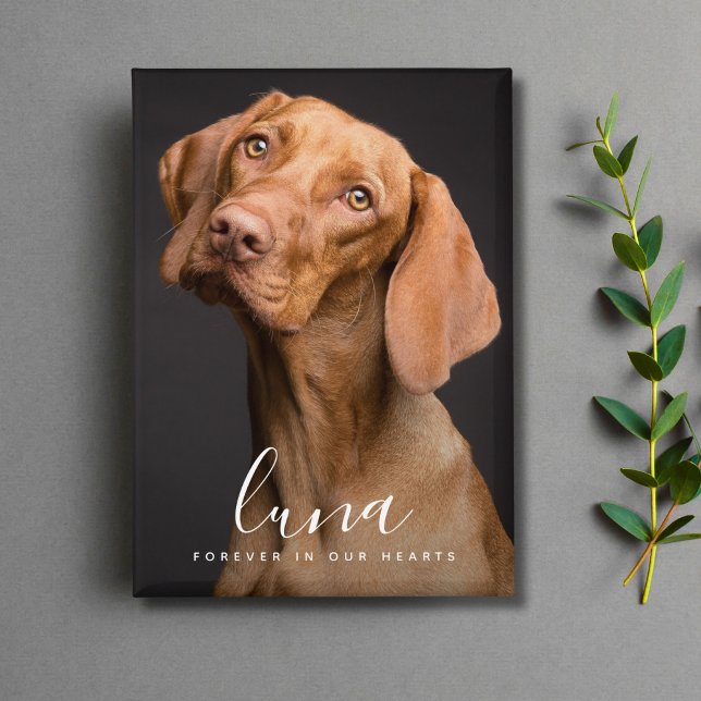 Pet Photo Memorial Remembrance Tribute (Pet Photo Memorial Button)