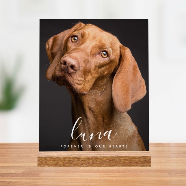Pet Photo Memorial Tribute Acrylic Sign (Pet Photo Memorial Sign)