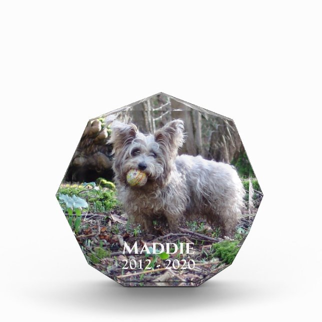 Pet Photo Memorial with Name and Date (Front)