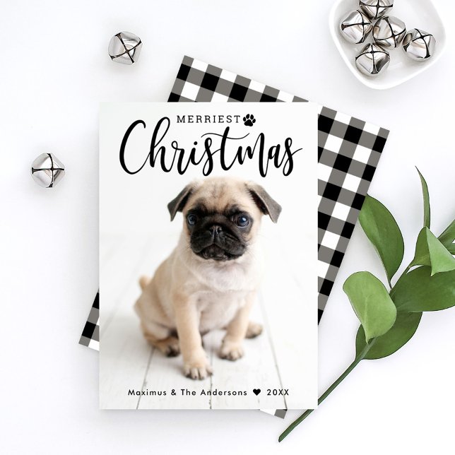 Pet Photo Merriest Christmas Script Gingham Back Holiday Card (Creator Uploaded)