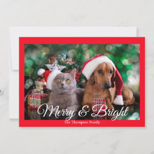 Pet Photo Merry and Bright Holiday Card