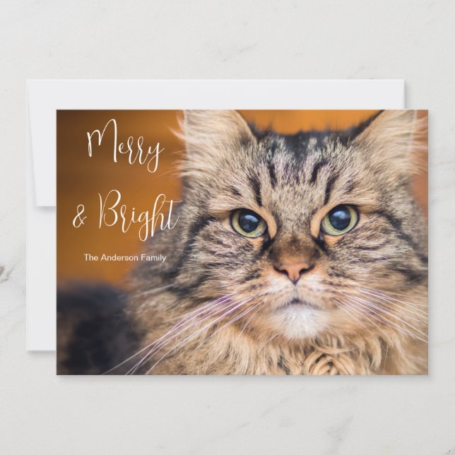 Pet Photo Merry and Bright  Holiday Card (Front)