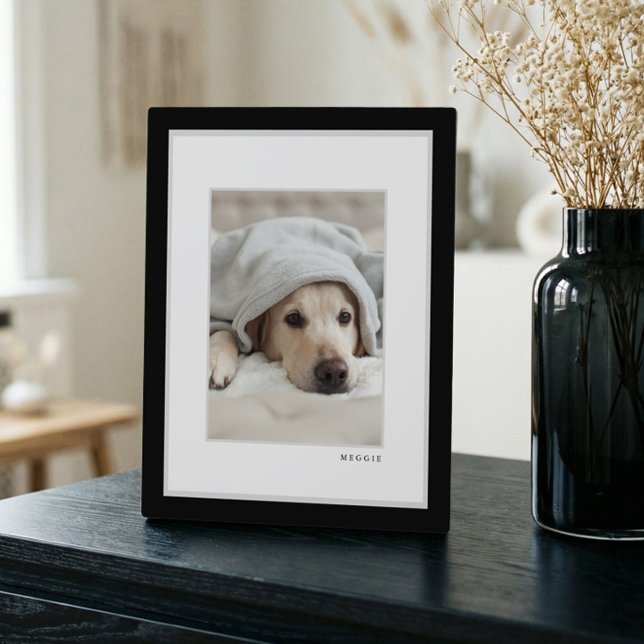 Pet Photo | Modern Minimal Black & White Frame Pet (Pet Photo | Modern Minimal Black & White Frame Pet)