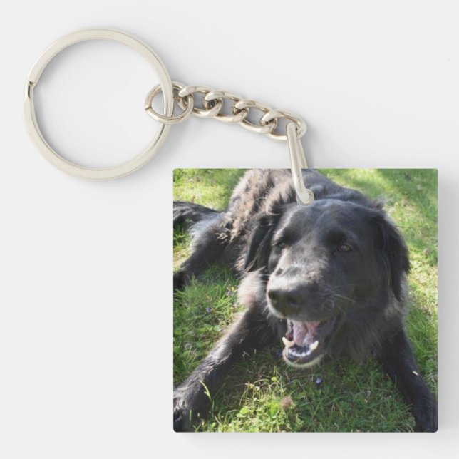 Pet Photo Monogram Name Initial Blue Green Key Ring (Front)