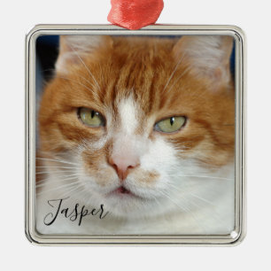 Pet Photo Name Christmas  Metal Tree Decoration