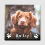 Pet Photo Name Magnet<br><div class="desc">Pet Photo Name Magnet. Cute design with white text and paw prints on nova scotia retriever template photo. You can customise this design with your pet's photo and name  using the Zazzle customisation tools. We invite you to visit our Zazzle store,  Simon & Grace,  for matching products and more.</div>