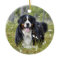 Pet Photo Ornament - Pet Memorial - Dog Photo
