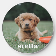 pet photo personalised cute dog