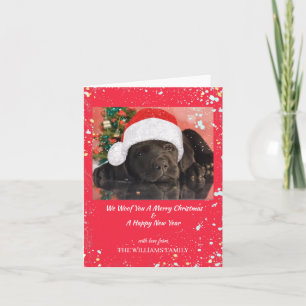 Pet Photo Personalised Dog Lover Merry Christmas  Card
