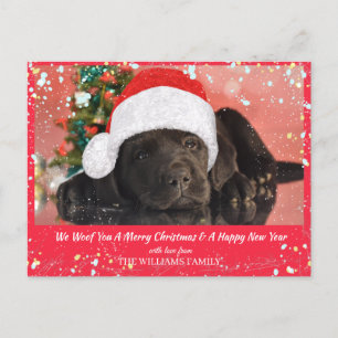Pet Photo Personalised Dog Lover Merry Christmas Postcard