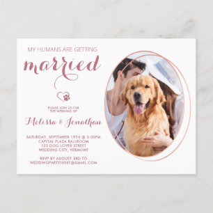 Pet Photo Personalised Dog Wedding Rose Gold Invitation Postcard