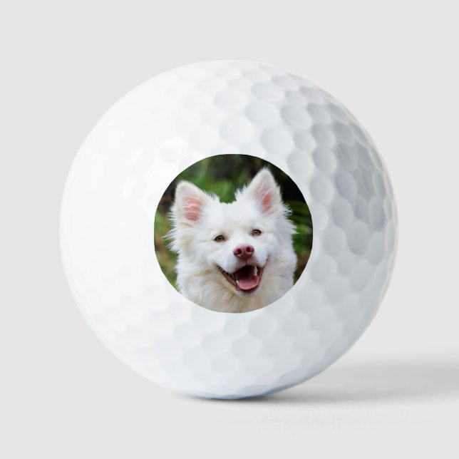 Pet Photo Personalised Golf Balls (Front)