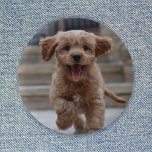 Pet Photo | Picture Upload Cute Adorable Dog 6 Cm Round Badge<br><div class="desc">Custom photo design your own template to include your favourite photograph of your dog, cat, pets, baby, kids, family or friends! An easy to personalise template to make your own one of a kind design with your own image. The perfect gift for a loved one! The image shown is for...</div>