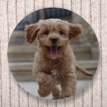Pet Photo | Picture Upload Cute Adorable Dog 6 Cm Round Badge<br><div class="desc">Custom photo design your own template to include your favourite photograph of your dog, cat, pets, baby, kids, family or friends! An easy to personalise template to make your own one of a kind design with your own image. The perfect gift for a loved one! The image shown is for...</div>