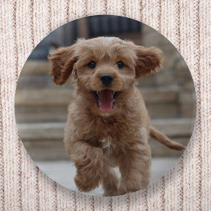 Pet Photo   Picture Upload Cute Adorable Dog 6 Cm Round Badge