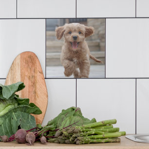 Pet Photo   Picture Upload Cute Adorable Dog Tile