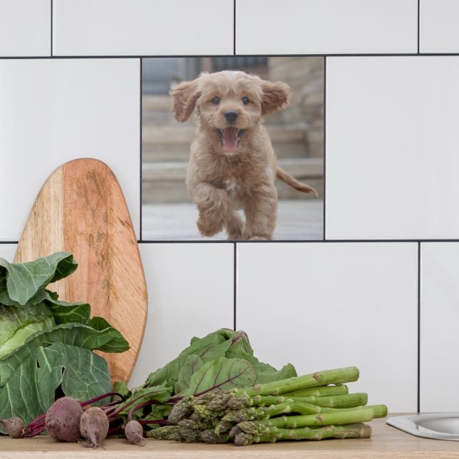 Pet Photo | Picture Upload Cute Adorable Dog Tile (Creator Uploaded)