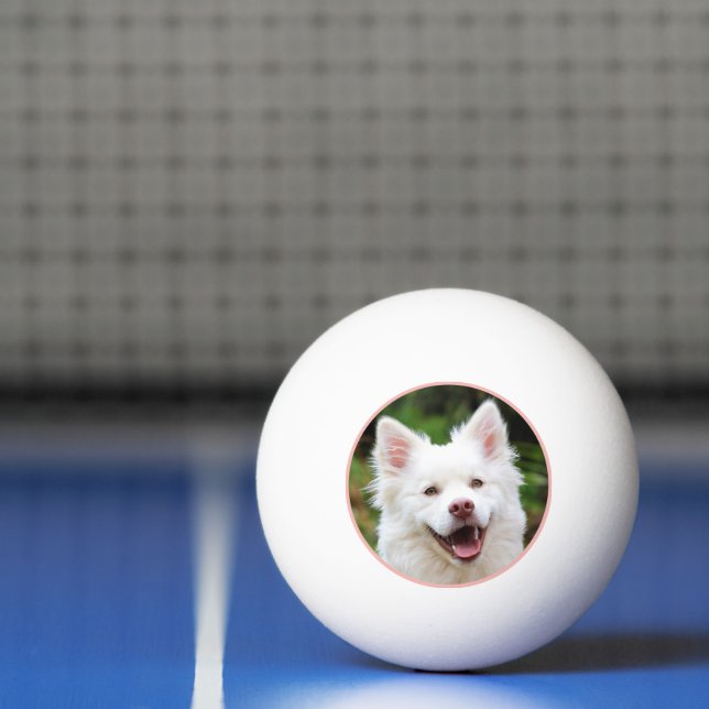Pet Photo Pink Frame Personalised Ping Pong Ball (Net)