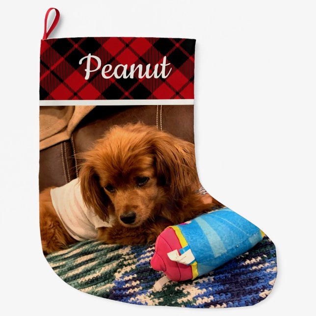 Pet Photo Red Plaid Reversible Personalized Large Christmas Stocking (Front)