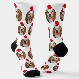 Pet Photo Red White Santa Hats on Head Christmas Socks