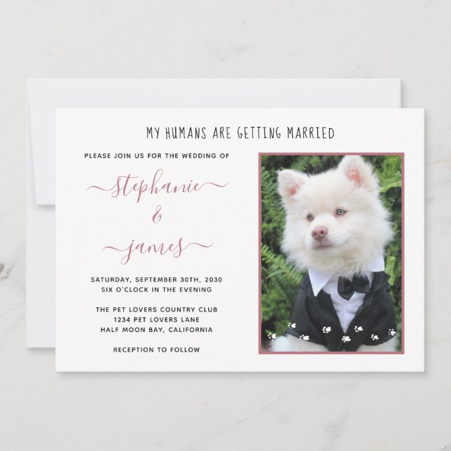 Pet Photo Rose Gold Humans Getting Married Wedding Invitation (Front)
