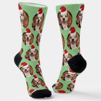 Pet Photo Sage Green Santa Hats Cute Christmas