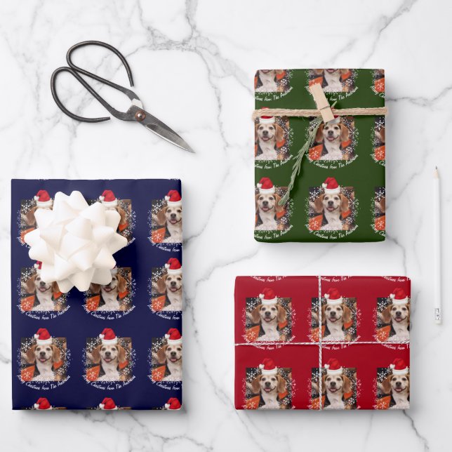 Pet Photo Santa Hat & Snowflakes Red Green Navy Wrapping Paper Sheet (Front)