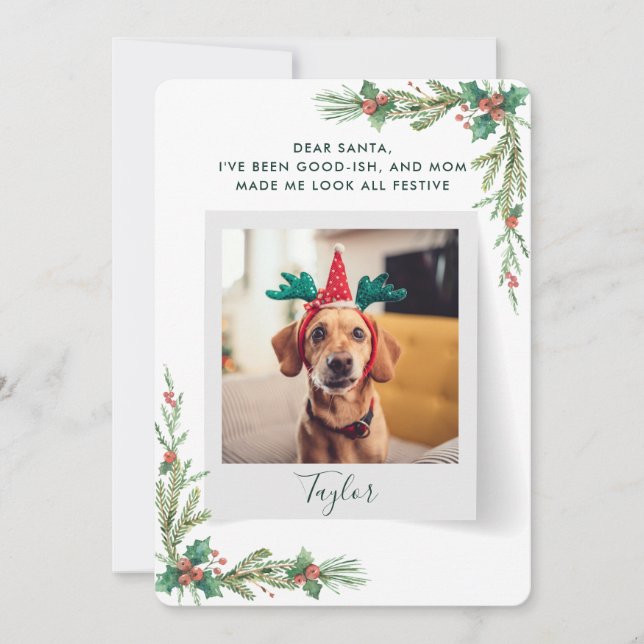 Pet Photo Script Funny Dog Christmas Holiday Card (Front)