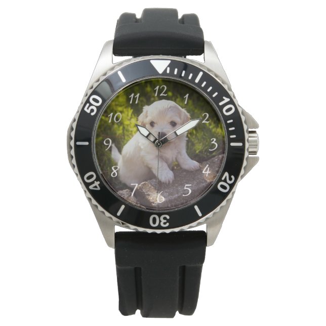 Pet Photo Stainless Steel Black Rubber Strap Watch (Front)