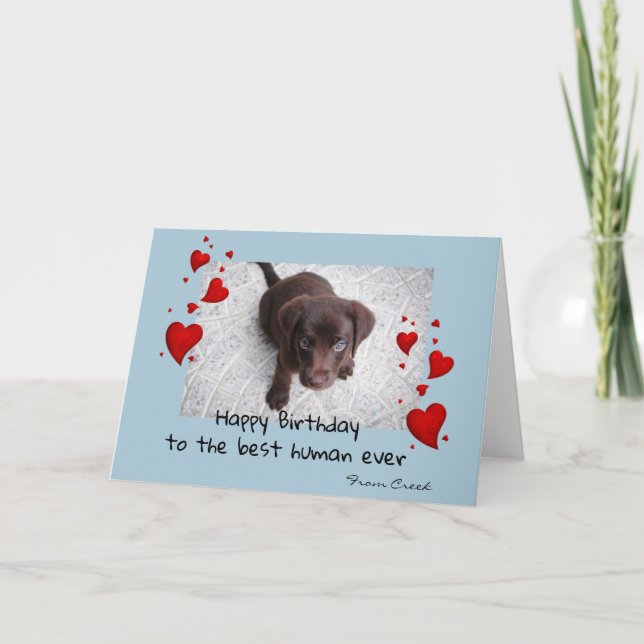 Pet Photo Template Happy Birthday Customise Card (Front)