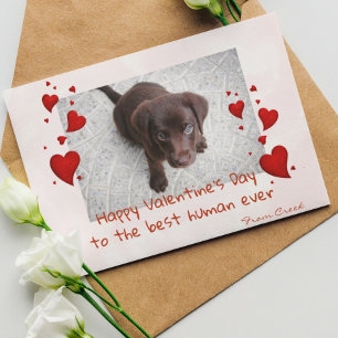 Pet Photo Template  Valentine's day Customise Card