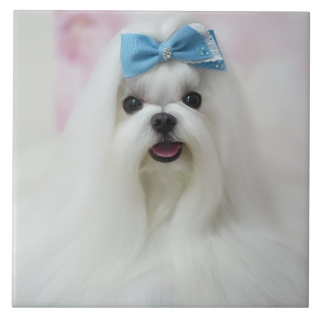 Pet Photo Upload Cute Adorable Dog Tile (Front)