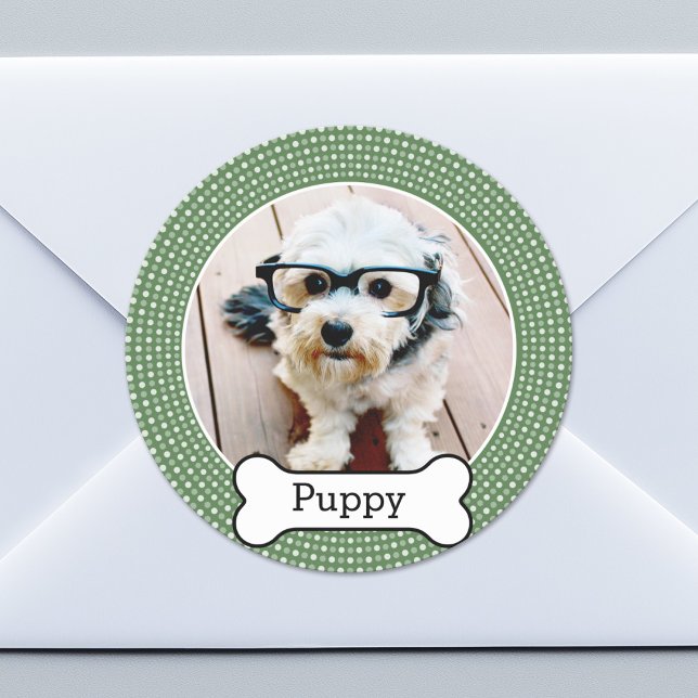 Pet Photo with Dog Bone - green polka dots Classic Round Sticker (Custom Sticker for Party Favors or Envelopes)