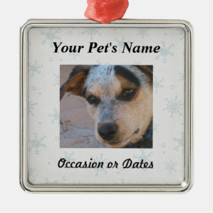 Pet Photo with Winter Snow Background Metal Tree Decoration