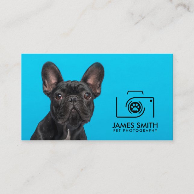 Pet Photographer - Animal Photography Business Card (Front)