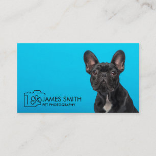 Pet Photographer - Animal Photography Business Card