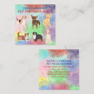Pet Photographer- Pet Photography Business Card