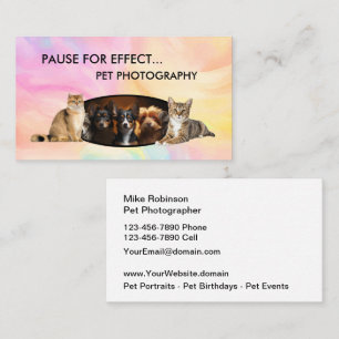 Pet Photography Modern Business Cards