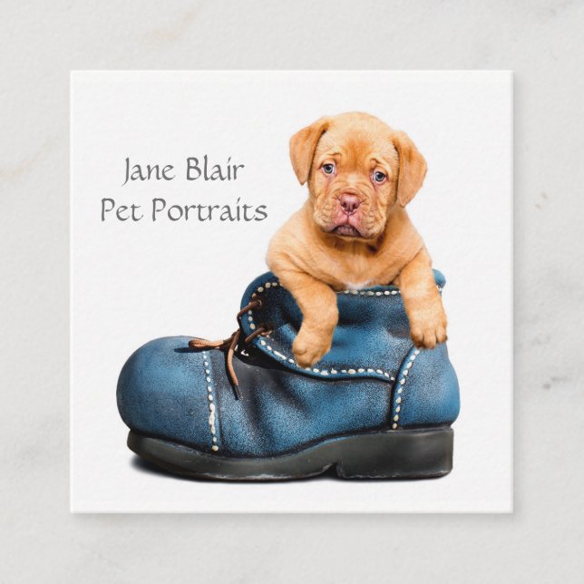 Pet Photography Square Business Card (Front)