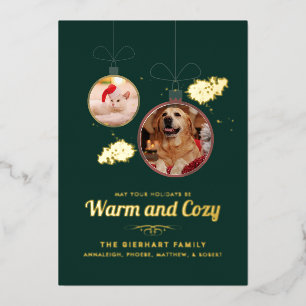 Pet Photos Family Christmas Modern Gold Foil Holiday Card