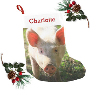 Pet Pig Lover Photo & Name Personalised Small Christmas Stocking