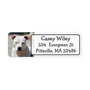Pet Pitbull Dog Address Label