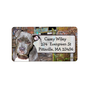 Pet Pitbull Dog Graffiti background  Address Label