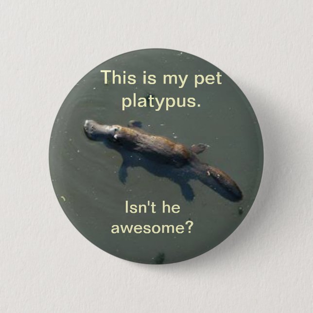 Pet Platypus Button (Front)