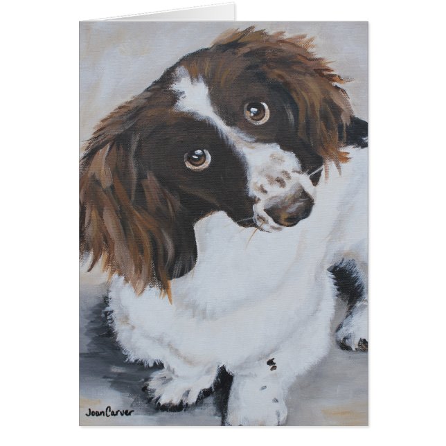 Pet Portrait - Cavalier King Charles Mix (Front)