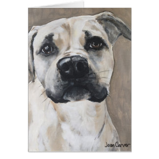 Pet Portrait - Pointer Mix