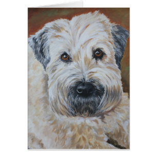 Pet Portrait - Soft-Coated Wheaten Terrier