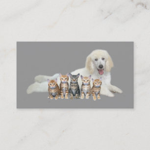 Pet Products & Services Business Card