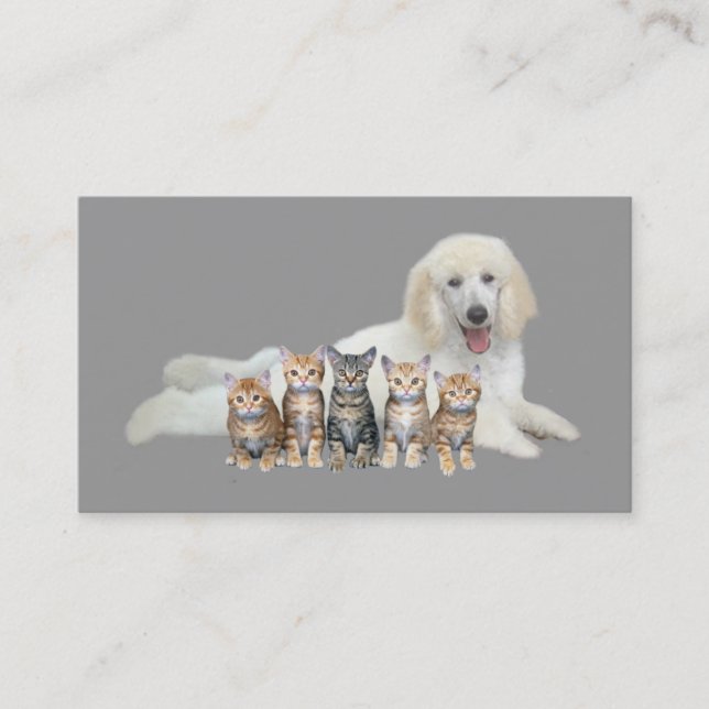 Pet Products & Services Business Card (Front)