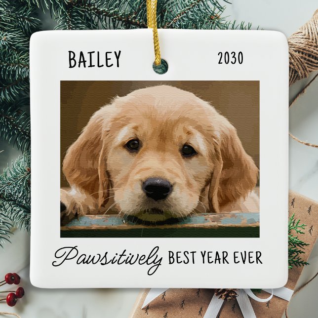Pet Puppy Custom Dog Photo Year Review Christmas Ceramic Ornament (Creator Uploaded)